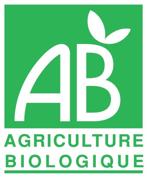 Tapenade à l'ail des ours** 90 g